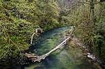 Photo de la rivire de la Semine vue depuis le Pont de Coz  Chtillon en Michaille