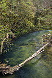 Image de la Semine vue depuis le Pont de Coz