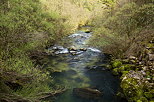 Photograph of the springtime along Semine river in Chatillon en Michaille