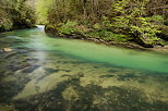 Picture of the green water of valserine river at springtime