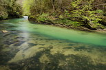 Image de la Valserine et de ses eaux vertes au printemps