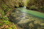 Image d'un printemps verdoyant au bord de la Valserine  Chtillon en Michaille