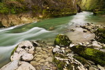 Photograph of the colorful springtime along Cheran river in Massif des Bauges Natural Park