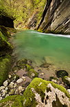 Picture of the green water in Cheran river