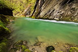 Photograph of the green water at springtime in Cheran river