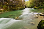 Image of vivid springtime colors around Cheran river in Massif des Bauges Natural Park