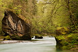 Photo de gros rochers et de fort de printemps le long de la rivire du Chran dans le Massif des Bauges