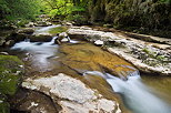 Photo du printemps autour de la rivire du Sran dans le Valromey