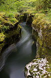 Image of the springtime along Seran river around Thurignin Gorges