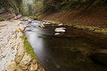 Photograph of the autumn colors on the banks of Cheran river