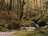 Photo de l'automne autour du torrent de l'Abme dans les montagnes du Haut Jura