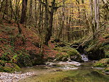 Photo de l'automne autour du torrent de l'Abme dans les montagnes du Haut Jura