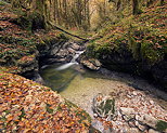 Photographie de la rivière de l'Abîme en automne