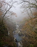 Image of a misty winter morning in Barbennaz