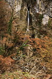 Image de la cascade de Barbennaz un jour de vent en hiver