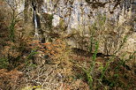 Picture of Barbennaz waterfall falling along the cliff of Fornant canyon