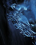 Photo de la glace bleue au dessus de l'eau du Fornant