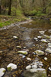 Photo de la rivire des Petites Usses au printemps