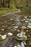 Photograph of low water level at springtime in Petites Usses river