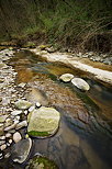 Image of springtime vegetation and low water level in Petites Usses river