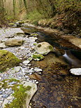 Image du printemps dans le lit de la rivire des Petites Usses