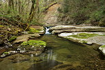 Image de la rivire des Petites Usses dans l'ambiance verte du printemps