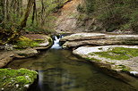 Photo de la rivire des Petites Usses au printemps