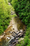 Photo du printemps autour du Tacon  Saint Claude dans le Jura