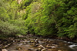 Picture of Tacon river in springtime , just after Rochefort bridge