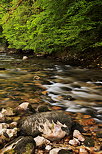 Image of little swirl in Tacon river at springtime