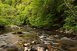 Photo du printemps autour de la rivire du Tacon  Saint Claude dans le Jura