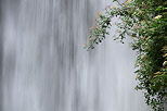 Image du rideau d'eau de la cascade de la Dorches dans l'Ain