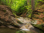 Picture of an autumn landscape around Erbe stream in Annecy