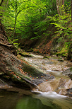 Photograph of the autumn light along river Erbe in Annecy