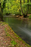 Image of autumn colors along river Thiou in Annecy