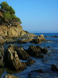 Paysage prs du fort de breganon. Bormes les Mimosas