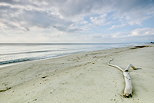 Photo de la plage de Casabianda en Haute Corse