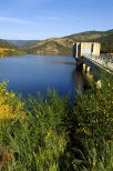 Photo du printemps autour du lac du barrage de la Verne dans le Massif des Maures