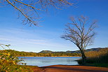 Photographie de la nature en hiver autour du lac des Escarcets dans la Plaine des Maures