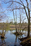 Image des bords du lac des escarcets