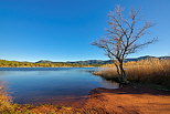 Photographie du paysage et de la vgtation d'hiver autour du lac des Escarcets dans le Var