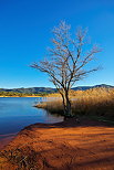 Image du lac des Escarcets en hiver dans le Massif des Maures