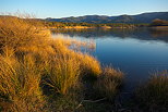 Image de la lumire d'un soir d'hiver au bord du lac des Escarcets