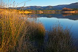 Photograhie des berges du lac des Escarcets un soir d'hiver