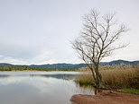 Photo du Lac des Escarcets en hiver