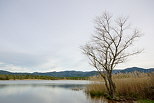 Photographie du Lac des Escarcets en hiver