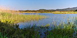 Photo des bords du lac des Escarcets au printemps