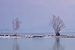 Image du lac d'Annecy en hiver au Petit Port