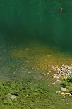 Photo des eaux du la Bnit en Haute Savoie