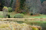 Photo de l'automne sur la végétation autour du lac Génin dans le Haut Bugey